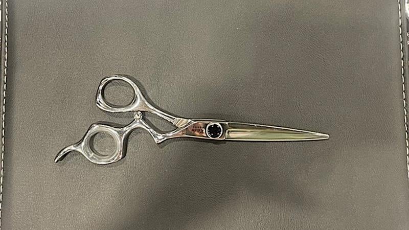 Hot Spa & Salon Products at Be+Well Las Vegas - Kashi Solace Shears