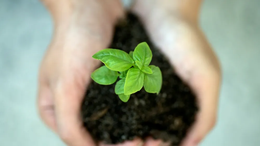 Consumers favour human impact over sustainability claims, report says